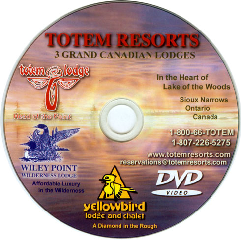 CD DVD Sample